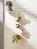 Set Of 4 Terra Cotta Hanging Mini Planters For Garden Decor
