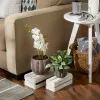 Set Of 2 Decorative Cement Flower Pots With Leaf Design - Perfect For Indoor And Outdoor Gardening