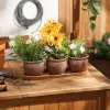 Set Of 3 Brown Round Ceramic Small Planters - Ideal For Indoor Plants