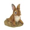 Adorable Bunny Garden Decoration For A Whimsical Touch To Your Outdoor Space